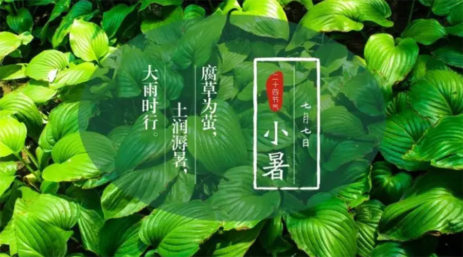 小暑時節(jié)來到！金環(huán)電器提醒大家要注意的事項(xiàng)