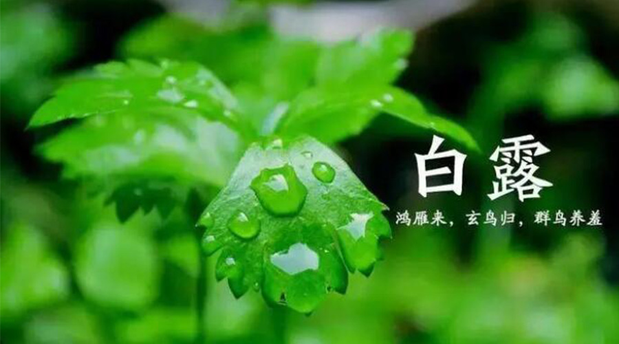 白露時節(jié)！金環(huán)電器提醒大家要注意的事項