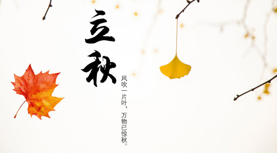 立秋時(shí)節(jié)！金環(huán)電器提醒大家要注意這些事項(xiàng)